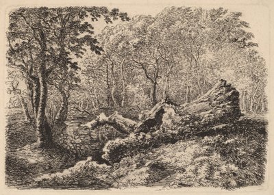 Støbende træstamme af Johann Georg von Dillis