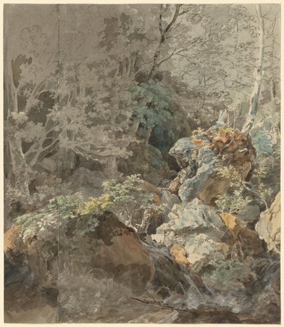Vandfald i en bjergskov, 1797. af Johann Georg von Dillis