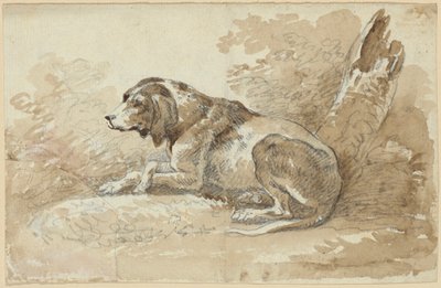 To undersøgelser af hunde af Johann Georg von Dillis