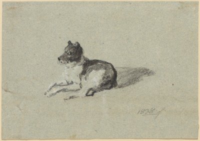 To undersøgelser af hunde af Johann Georg von Dillis