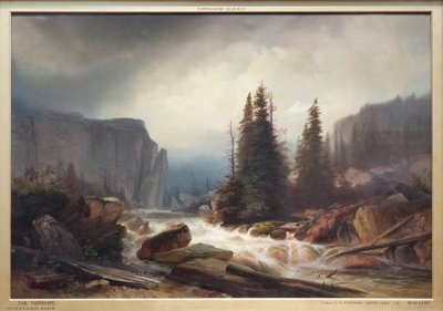 Torrenten af Johann Gottfried Steffan