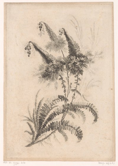 Puntige blomster Samling af nye smagsblomster; Til Manufacture des Etoffes de Perse (serietitel) af Johann Heinrich  Hess