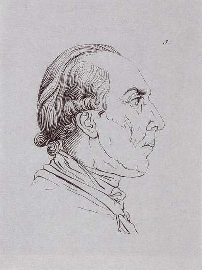 HUBrennwaldi af Johann Heinrich Lips
