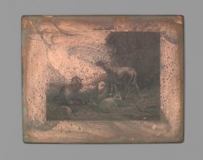 Fire får af Johann Heinrich Maria Hubert Rennefeld (signed by artist)