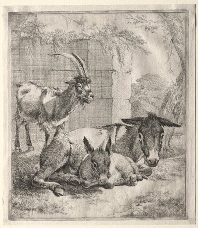 Ged og æsler af Johann Heinrich Roos