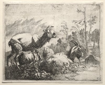 Geder, 1665. af Johann Heinrich Roos