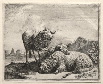 Vædder og to får af Johann Heinrich Roos