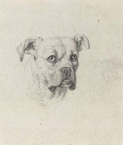 En bokser af Johann Heinrich Wilhelm Tischbein