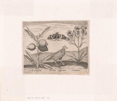 Serie af tryk med blomster og dyr i et landskab Landskab med citronplante, vagtel og speedwell Landskaber med dyr, planter og blomster (serietitel) af Johann Hogenberg