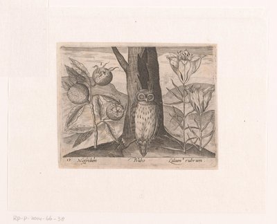 Serie af tryk med blomster og dyr i et landskab Landskab med mispel, lilje og ugle Landskaber med dyr, planter og blomster (serietitel) af Johann Hogenberg