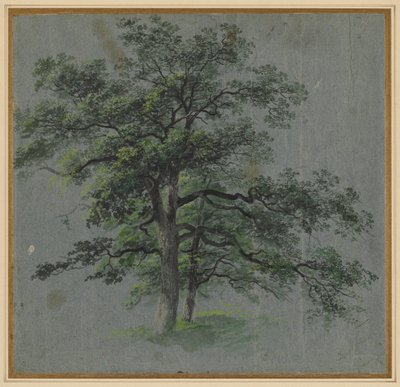 To træer (recto) af Johann Jacob Dorner