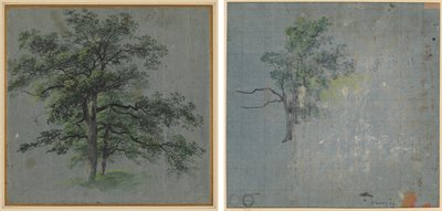 To træer (recto) Træstudier (verso) af Johann Jacob Dorner