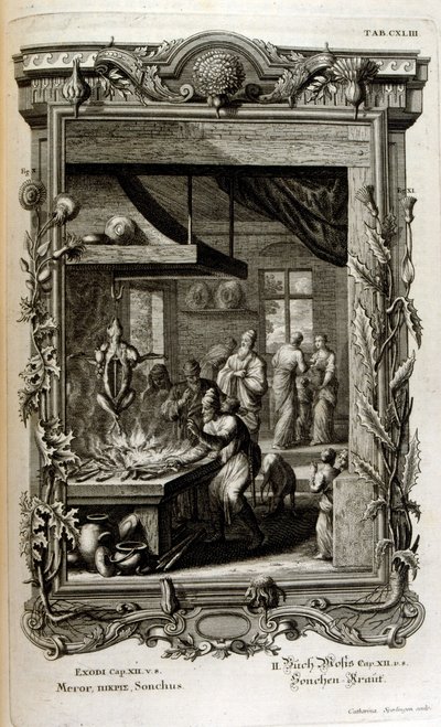 Illustration fra hellig fysik eller Bibelens naturhistorie af Johann Jakob Scheuchzer