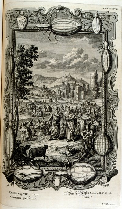 Pest af lus og myg af Johann Jakob Scheuchzer