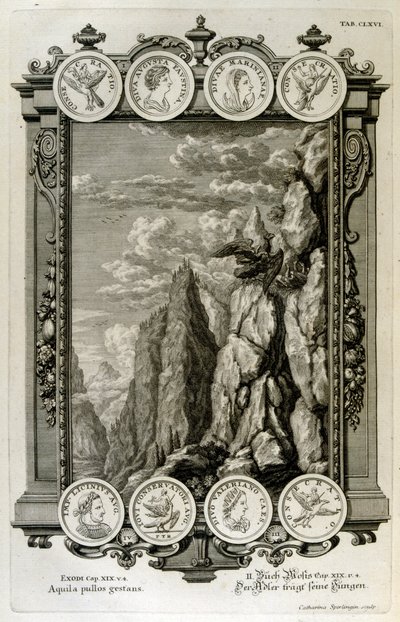 Zeus symboliseret som en ørn af Johann Jakob Scheuchzer