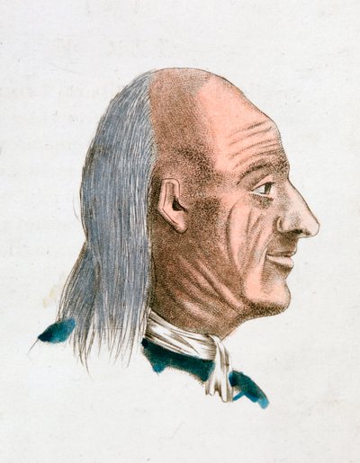 En jovial og venlig persons ansigtskarakteristika, 1808 af Johann Kaspar Lavater