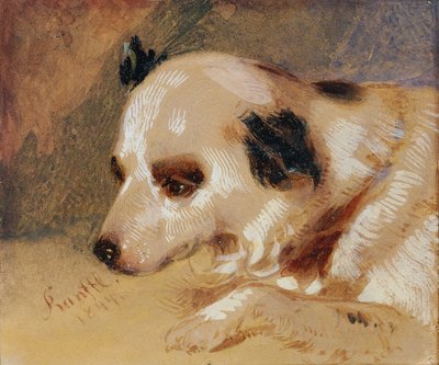 hundehoved af Johann Matthias Ranftl