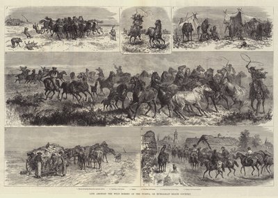 Livet blandt de vilde heste i Puszta, eller det ungarske hedeland af Johann Nepomuk Schonberg