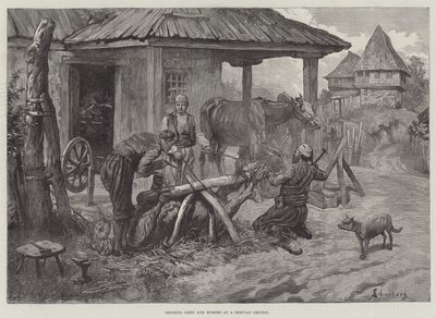 Skoning af okser og heste på en servian-smedje af Johann Nepomuk Schonberg