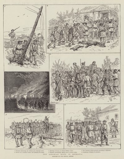 Agraroptøjerne i Rumænien af Johann Nepomuk Schonberg