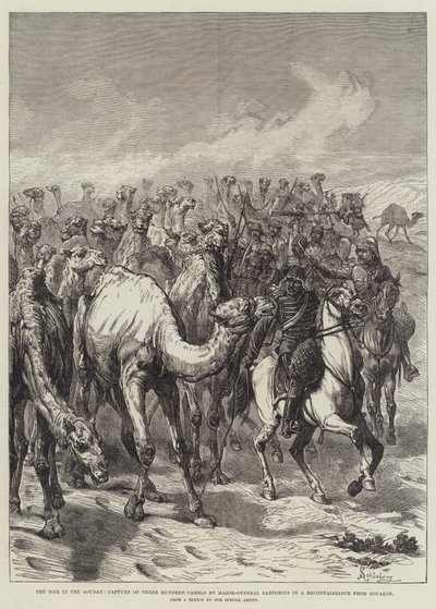 Krigen i Soudan, fangst af tre hundrede kameler af generalmajor Sartorius i en rekognoscering fra Souakim af Johann Nepomuk Schonberg