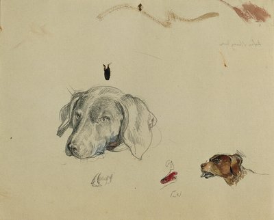 hundestudie af Johann Peter Krafft