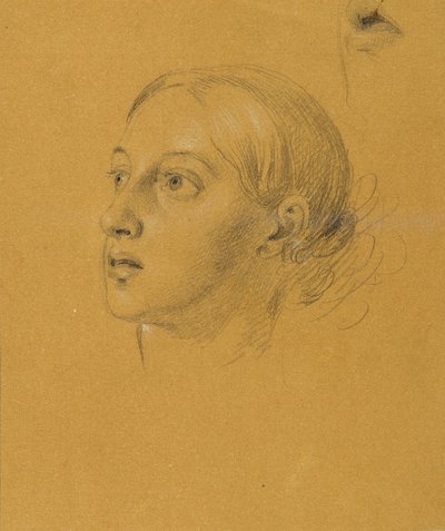 Hovedstudie for "Arindal og Daura" af Johann Peter Krafft