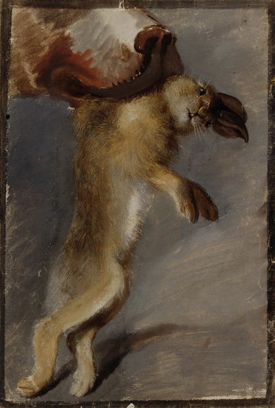 Studie af en Hare af Johann Peter Krafft