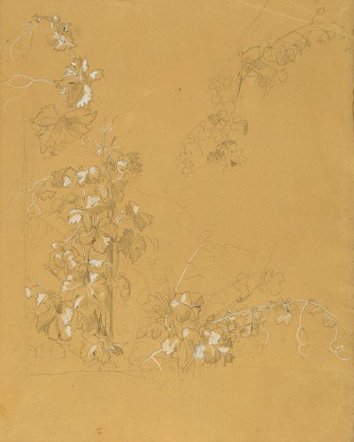 Weinstock, Studie for "Hermann og Dorothea i vingården" af Johann Peter Krafft