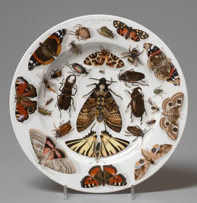 Plate, Lippert & Haas, Schlaggenwald af Johann Quast