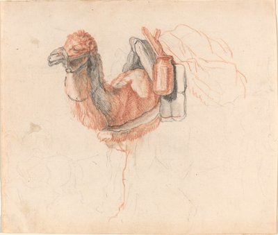 Kamel af Johann Rudolph Schellenberg