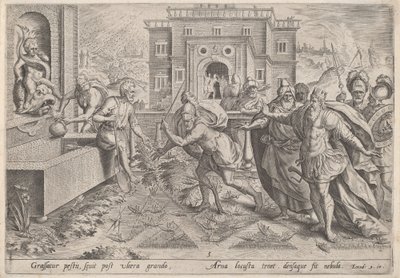 Græshoppeplagen, ca. 1585. af Johann Sadeler I