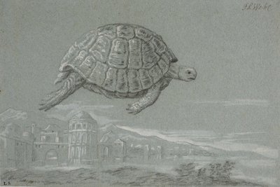 Studie af en skildpadde, og prospekt af en befæstet by ved havet (Venedig) af Johann Salomon Wahl