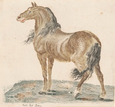 Nabohesten, 1690