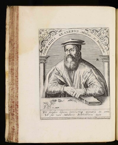 Conrad Gessner af Johann Theodor de Bry