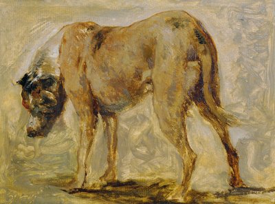 Brun Grand Danois af Johann  Till der Jüngere