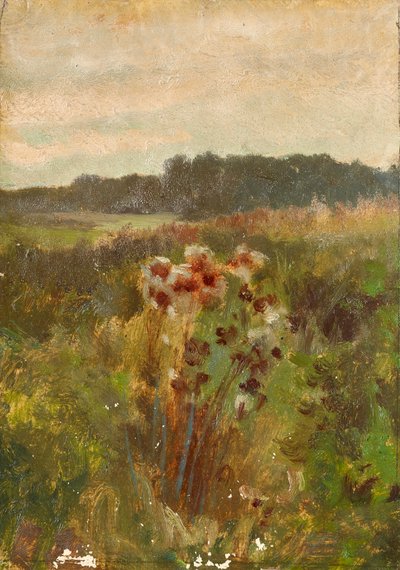 Landskab i Nedre Østrig af Johann  Till der Jüngere