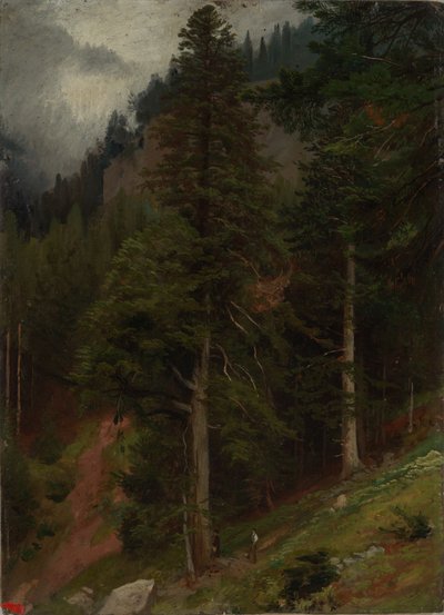 Skråning i granskov af Johann Wilhelm Schirmer