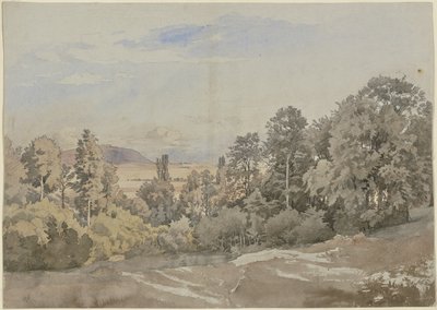 Skov med fjern udsigt af Johann Wilhelm Schirmer