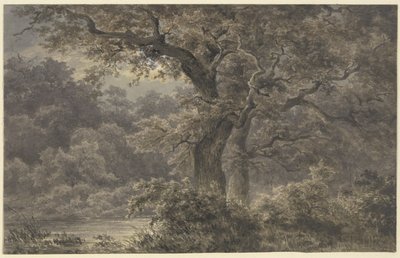Ege i skoven af Johann Wilhelm Schirmer