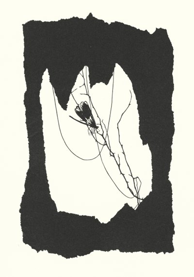 Johanna Beckmann-silhuet (litografi) af Johanna Beckmann