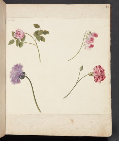 Studie af blomster af Johanna Fosie