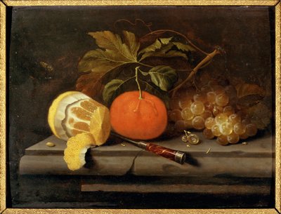 Stilleben: Frugt på et stenbord
Privat samling
Beliggenhed: Privat samling (maleri på lærred) af Johannes Borman