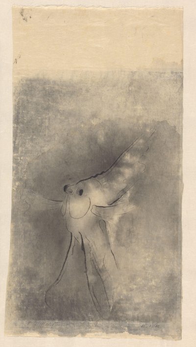 solfisk af Johannes Frederik Engelbert ten Klooster (signed by artist)