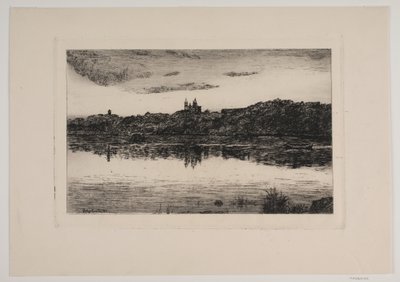 Viborg sø af Johannes Groth