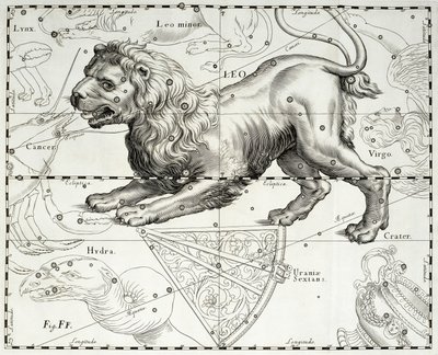 Løven, stjernebilledet Løve, illustration taget fra Johann Hevelius