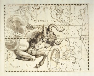 Tyren, stjernebilledet Tyren, gravering fra himmelatlas Firmamentum Sobiescianum sive Uronographia, af Johann Hevelius (1611-1687), Gdansk af Johannes Hevelius