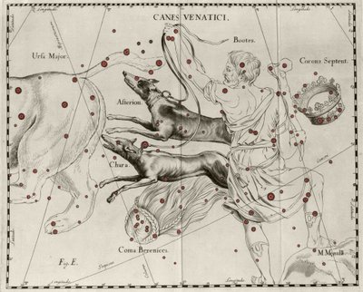 Stjernebilledet Canes Venatici, Jagthunde. Tallerken tegnet fra "" Firmamentum Sobiescanum sive Uranographia"" af Johannes Hevelius eller Hevel (1611-1687) af Johannes Hevelius