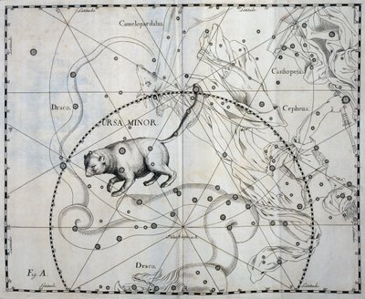 Ursa Minor, Boreal konstellation af Ursa Minor, gravering fra himmelatlas Firmamentum Sobiescianum sive Uronographia, af Johann Hevelius (1611-1687), Gdansk af Johannes Hevelius