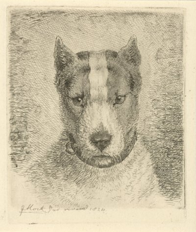 Hundehoved med halsbånd af Johannes Mock